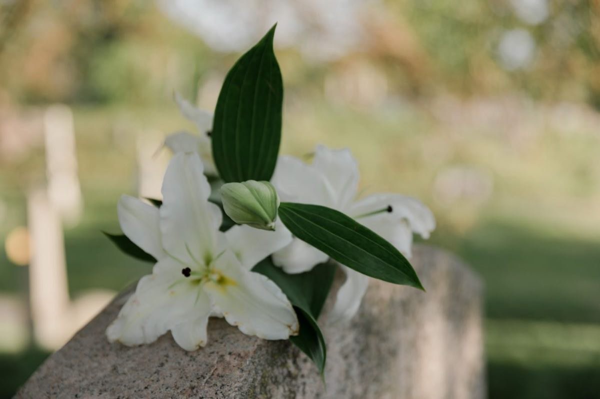 Weiße Lilien auf einem schlichten Grabstein im Tageslicht